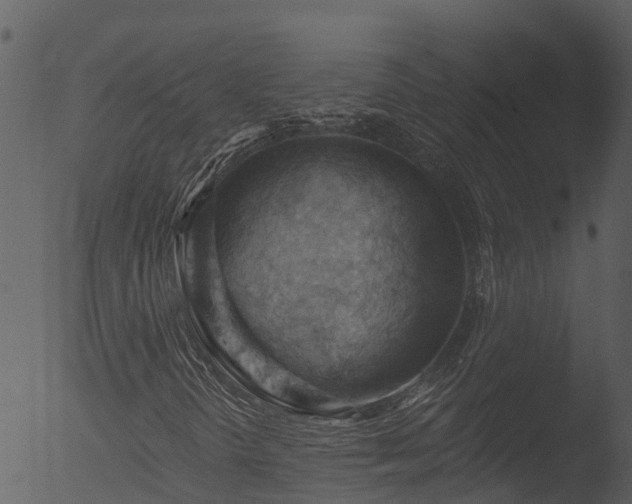 X0000053081298200507181642