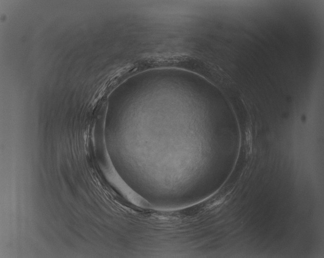 X0000053081300200507181642