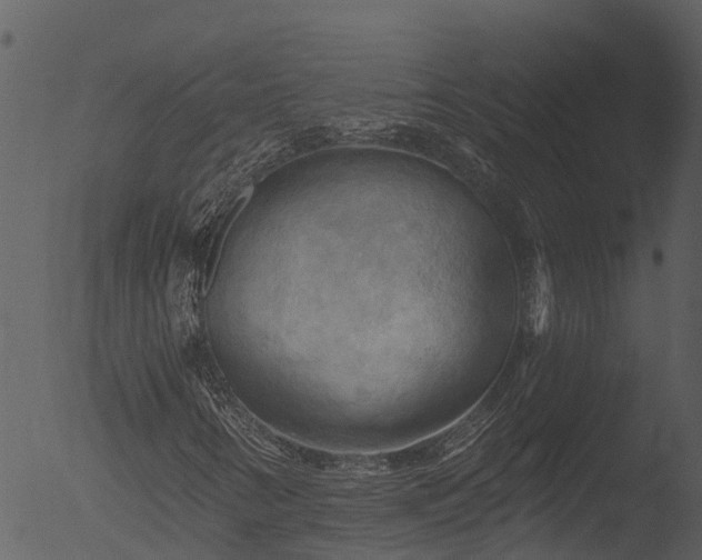 X0000053081346200507181641