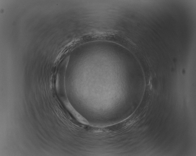 X0000053081348200507181641