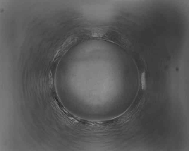 X0000053081443200507181640