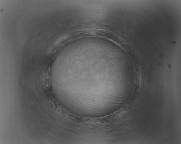 X0000053081446200507181640
