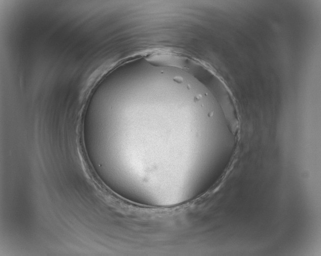 X0000053080001200507251538