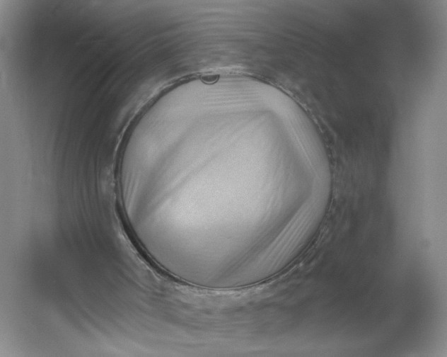 X0000053080002200507251538