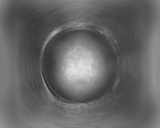 X0000053080003200507251538