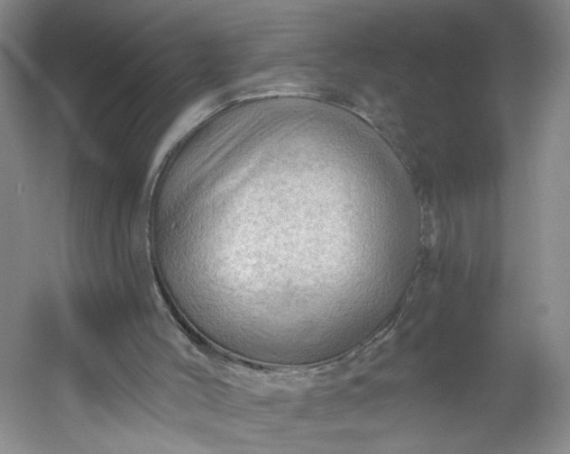 X0000053080004200507251538