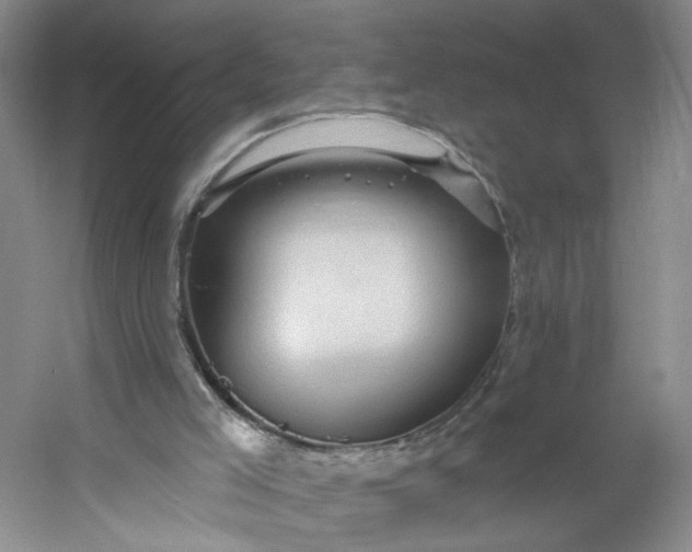 X0000053080005200507251538