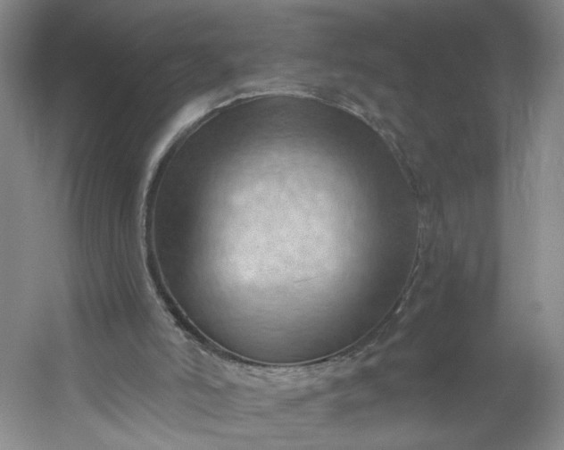 X0000053080006200507251538