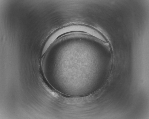 X0000053080009200507251538