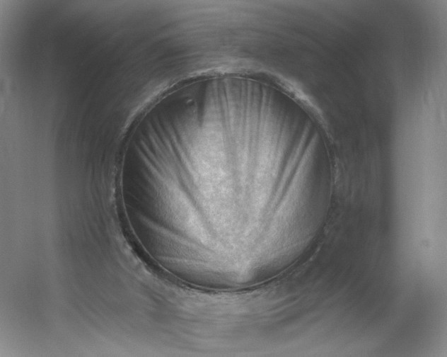 X0000053080010200507251538