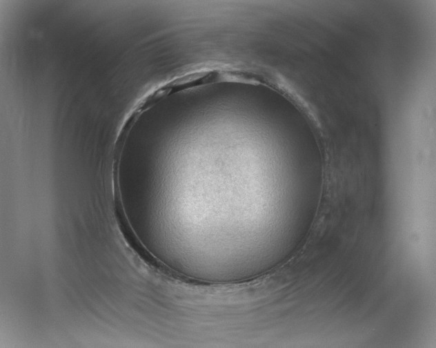 X0000053080011200507251538