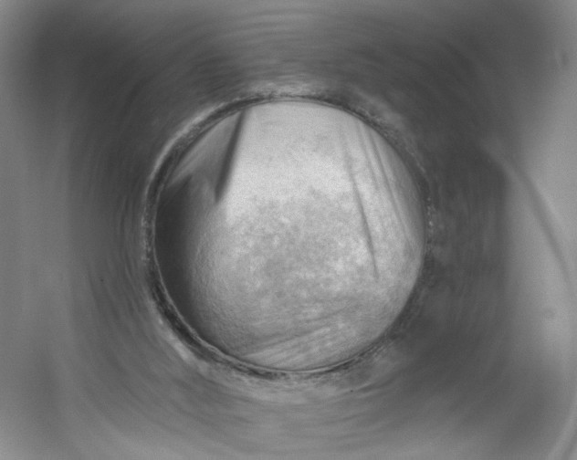 X0000053080012200507251538