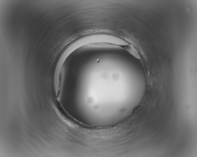 X0000053080013200507251538