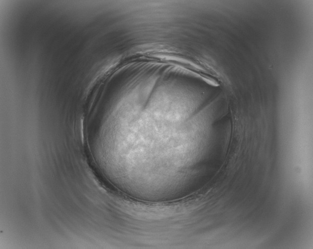 X0000053080014200507251538