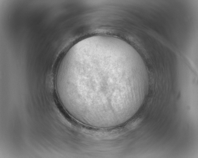 X0000053080016200507251538