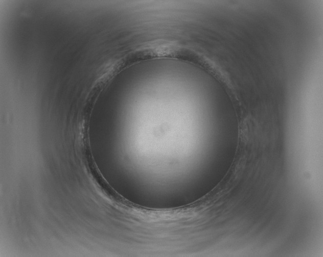 X0000053080018200507251538