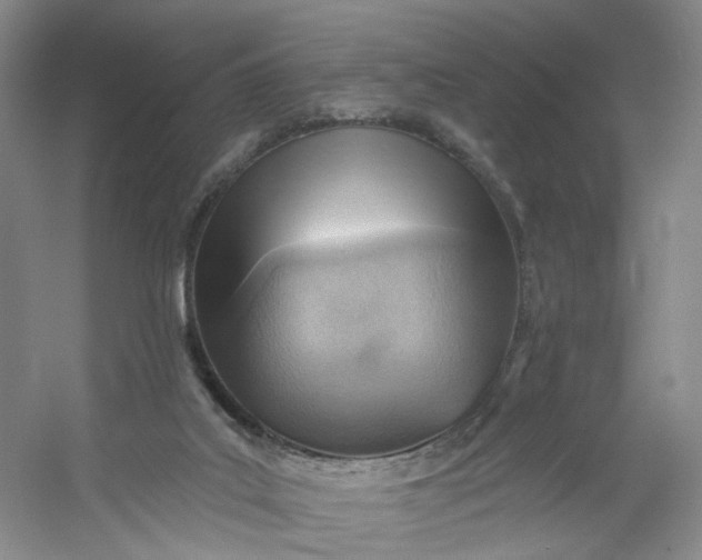 X0000053080019200507251538