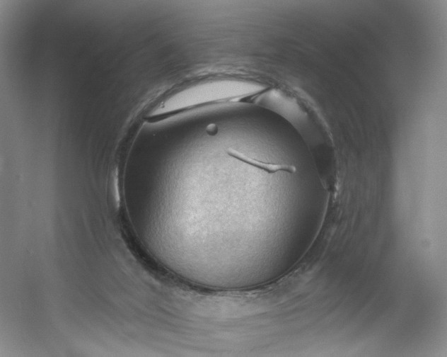 X0000053080020200507251538