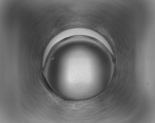 X0000053080021200507251538