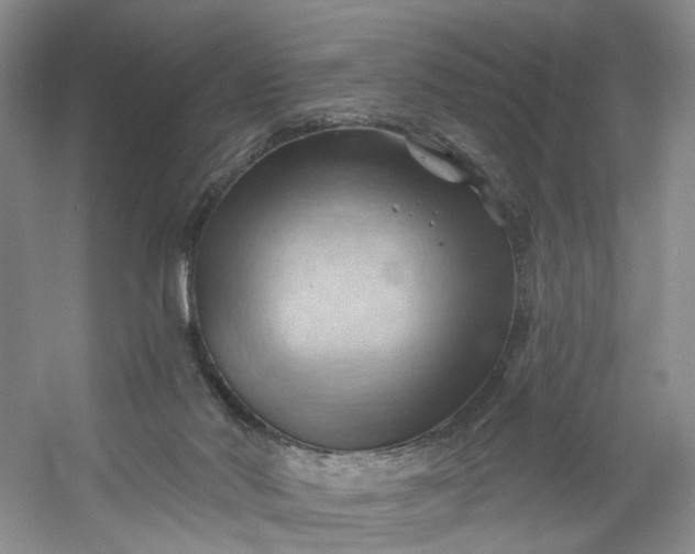 X0000053080022200507251538