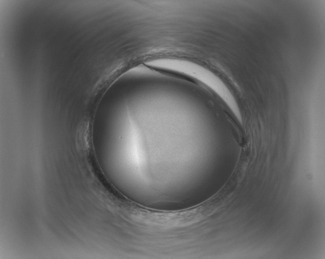 X0000053080023200507251538