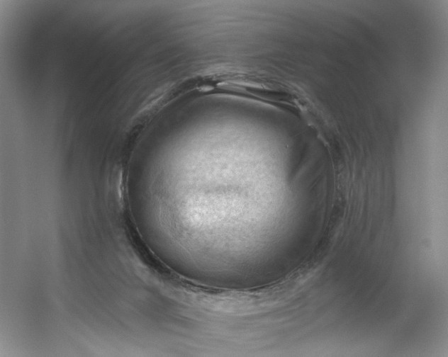 X0000053080024200507251538