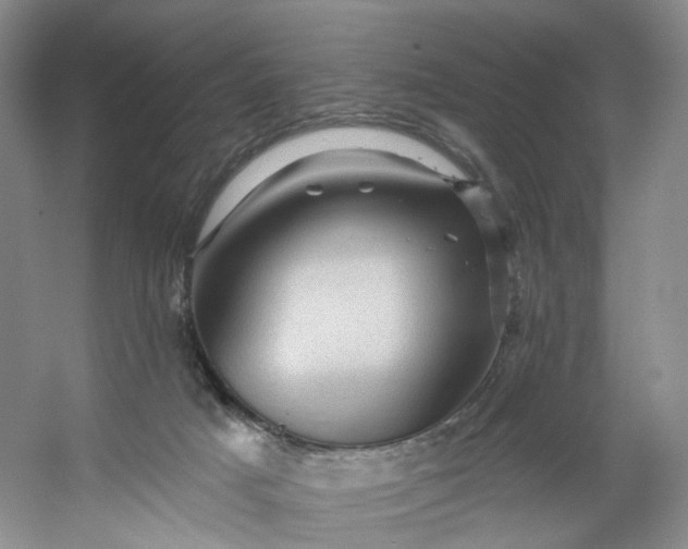 X0000053080025200507251538