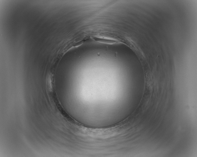 X0000053080026200507251538