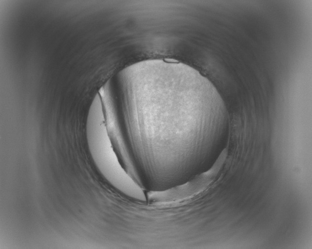 X0000053080029200507251537