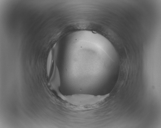 X0000053080031200507251537
