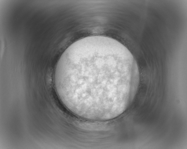 X0000053080032200507251537