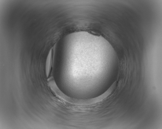 X0000053080033200507251537