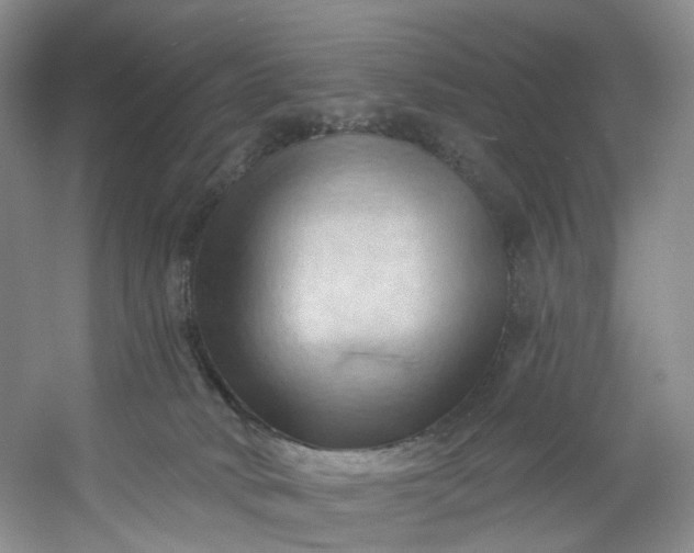 X0000053080034200507251537