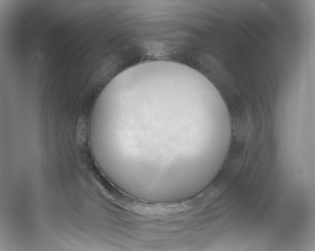 X0000053080036200507251537