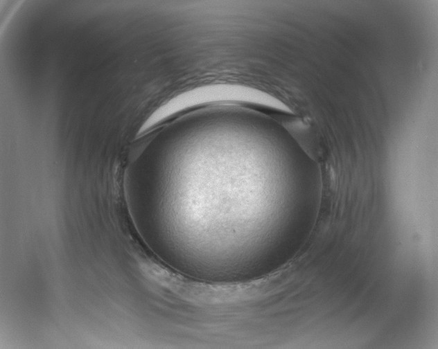 X0000053080037200507251537