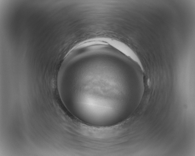 X0000053080039200507251537