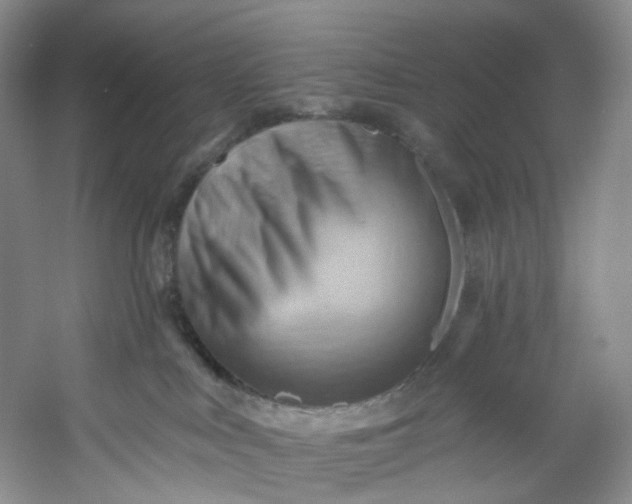 X0000053080043200507251537