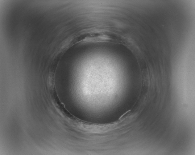 X0000053080044200507251537