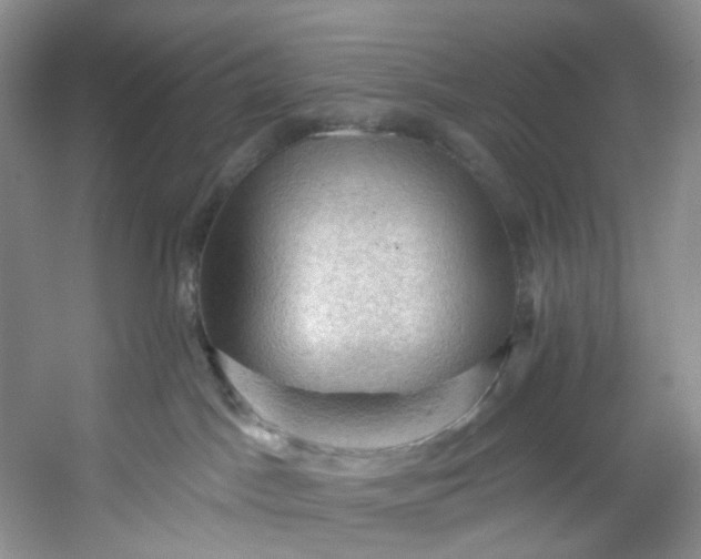 X0000053080045200507251537