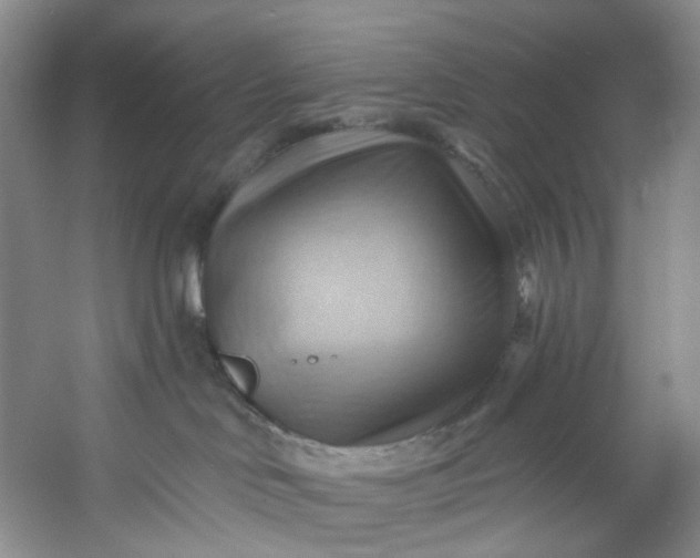 X0000053080046200507251537