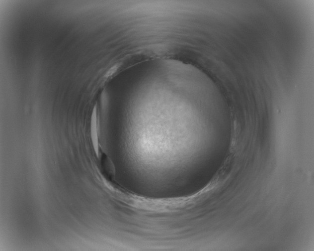 X0000053080048200507251537