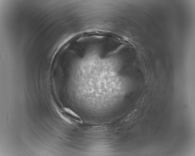 X0000053080050200507251536