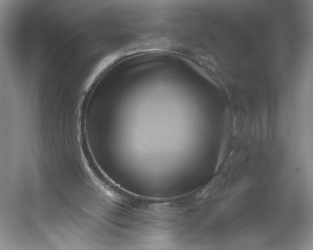 X0000053080054200507251536
