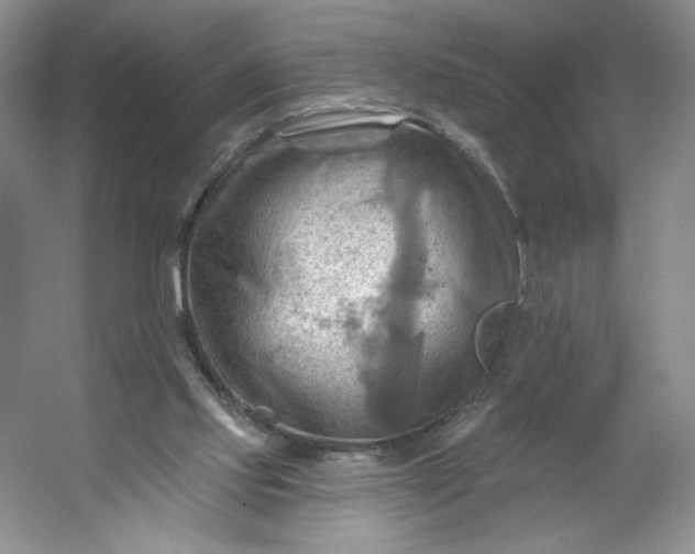 X0000053080061200507251537