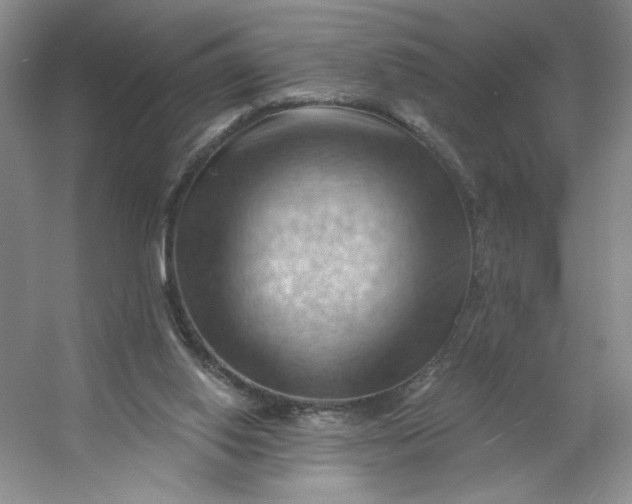 X0000053080062200507251537