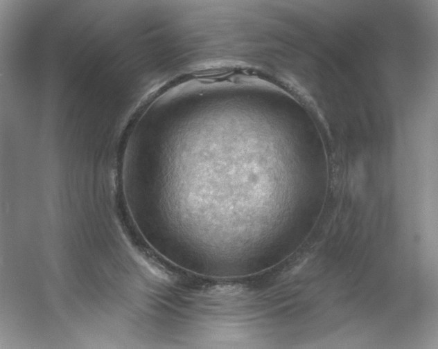 X0000053080063200507251537