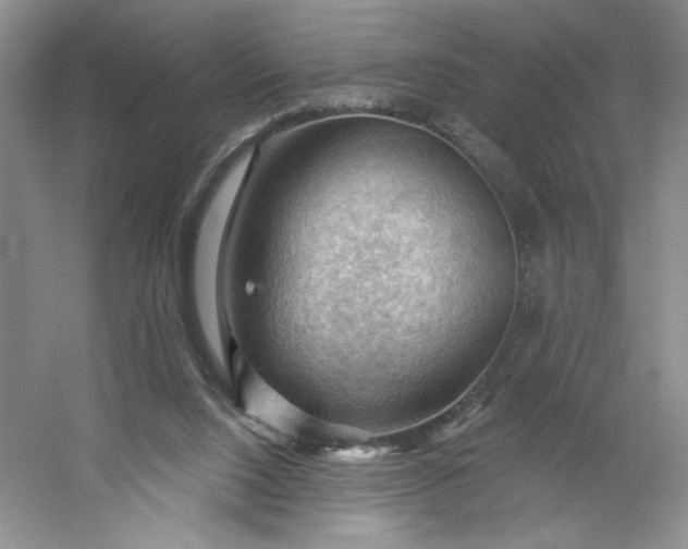 X0000053080064200507251537