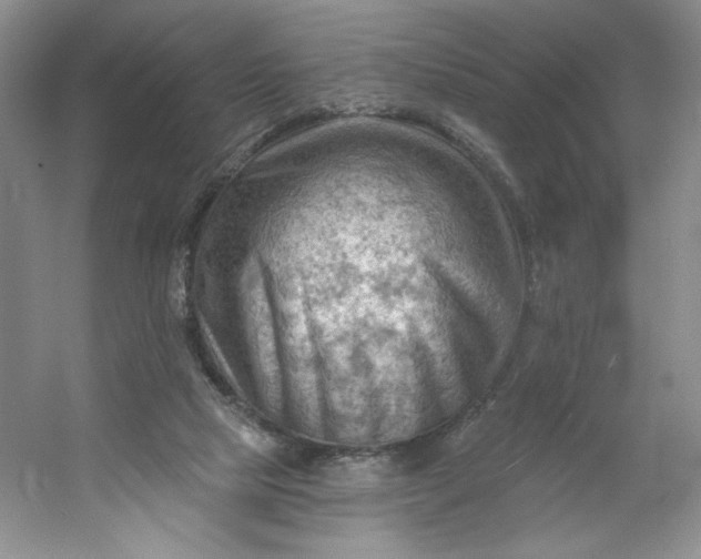 X0000053080065200507251537