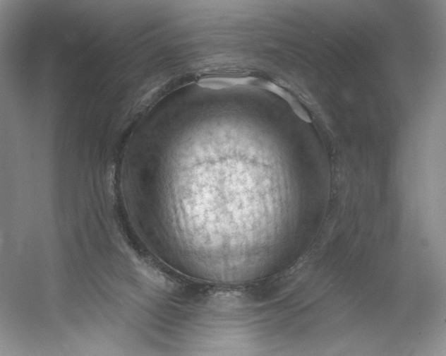 X0000053080066200507251537