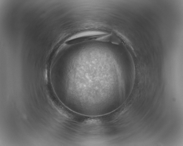 X0000053080067200507251537